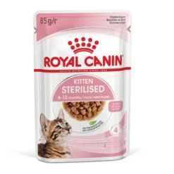 Royal Canin Kitten Sterilised alimento húmido em molho saquetas para gatos