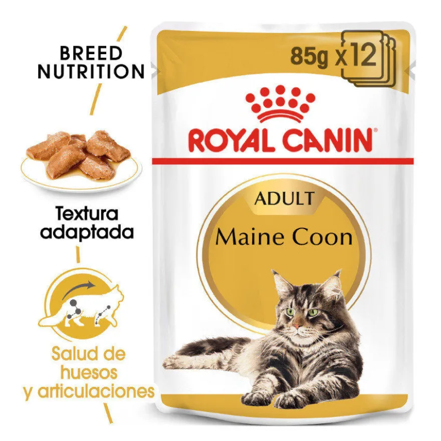 Royal Canin Maine Coon alimento húmido para gatos