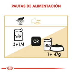 Royal Canin Maine Coon alimento húmido para gatos