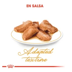 Royal Canin Maine Coon alimento húmido para gatos