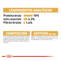 Royal Canin Maine Coon alimento húmido para gatos