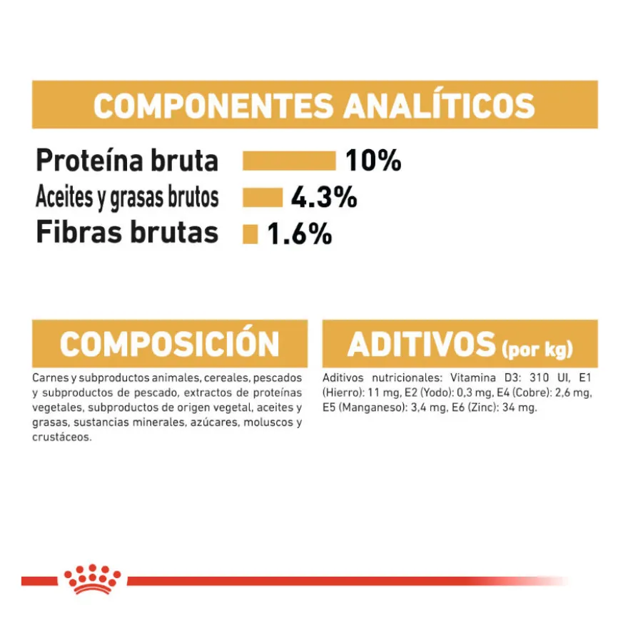 Royal Canin Maine Coon alimento húmido para gatos
