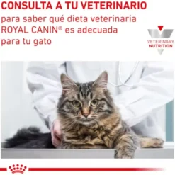 Royal Canin Mature Consult Láminas em molho Sachet para gatos