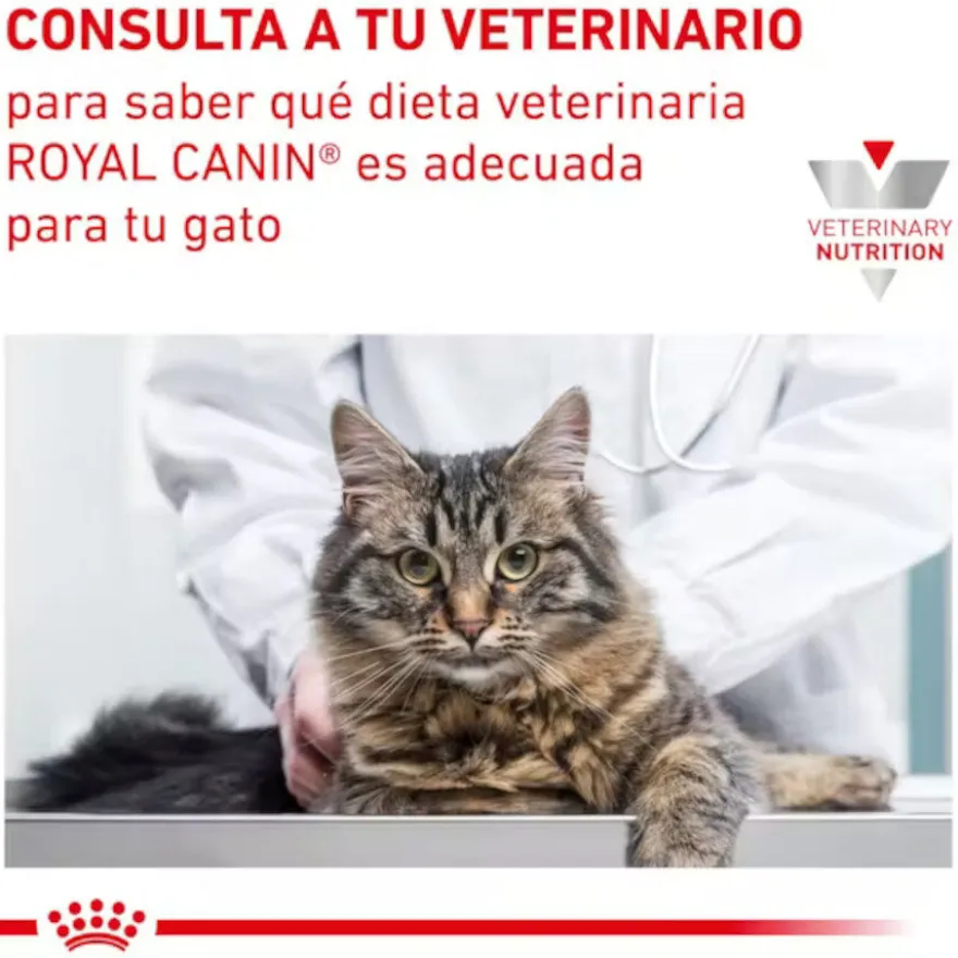 Royal Canin Mature Consult Láminas em molho Sachet para gatos