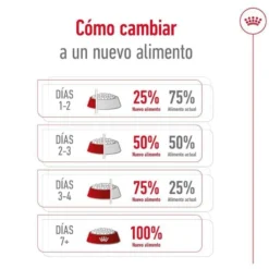 Royal Canin Maxi Adult ração para cães