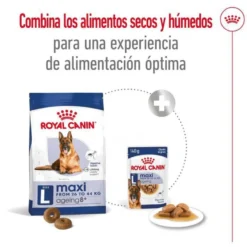 Royal Canin Maxi Ageing 8+ ração para cães sénior