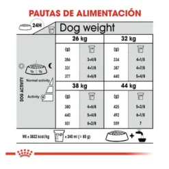 Royal Canin Maxi Dental Care ração para cães