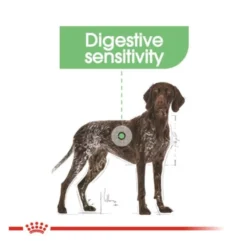 Royal Canin Maxi Digestive Care comida para cães