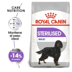 Royal Canin Maxi Sterilised ração para cães