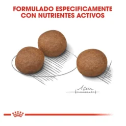 Royal Canin Medium Digestive Care ração para cães