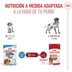 Royal Canin Medium Puppy saquetas para cães