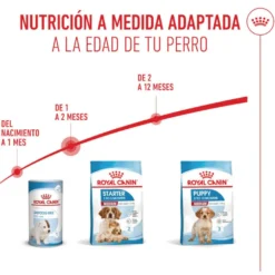 Royal Canin Medium Starter Mother&Baby ração para cães