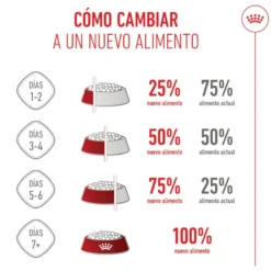 Royal Canin Medium Starter Mother&Baby ração para cães