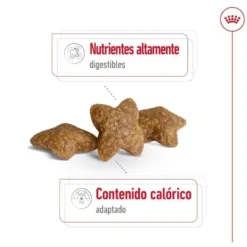 Royal Canin Mini Adult ração para cães