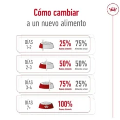 Royal Canin Mini Adult ração para cães