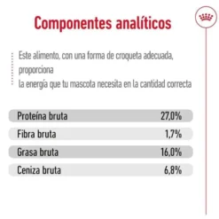 Royal Canin Mini Adult ração para cães