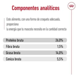 Royal Canin Mini 12+ Ageing ração para cães sénior