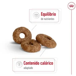 Royal Canin Mini 12+ Ageing ração para cães sénior
