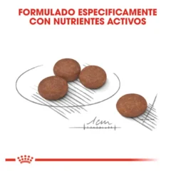 Royal Canin Mini Digestive Care ração para cães