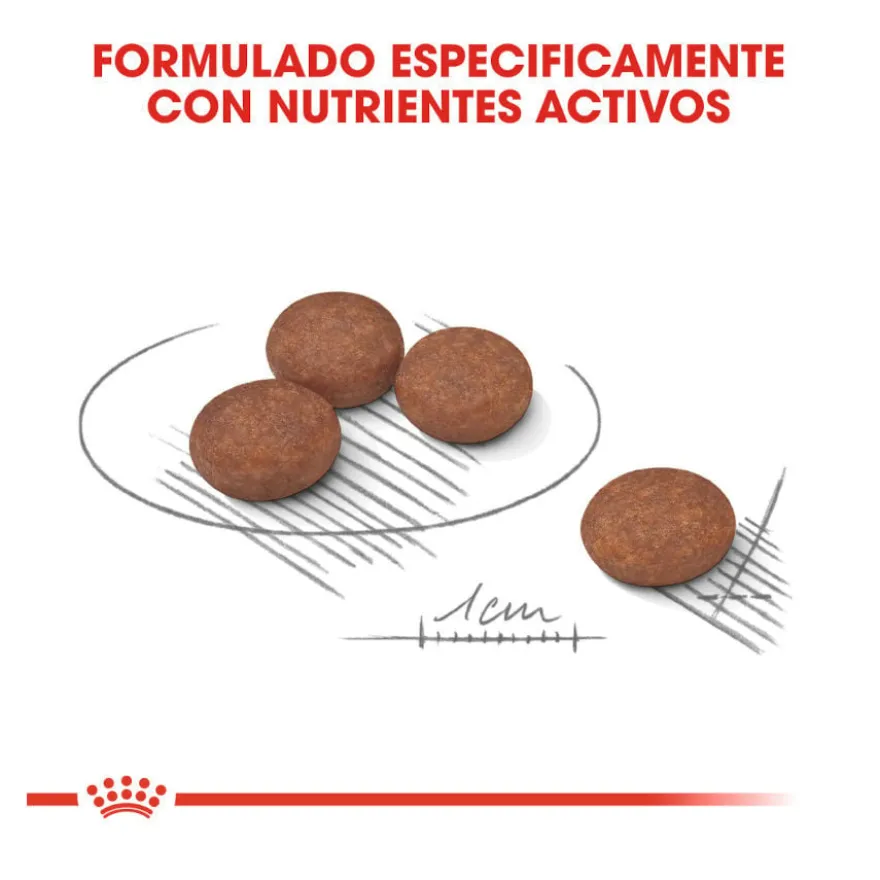 Royal Canin Mini Digestive Care ração para cães