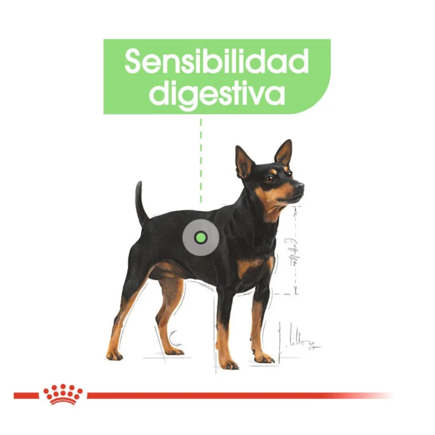 Royal Canin Mini Digestive Care ração para cães