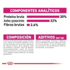 Royal Canin Mini Exigent ração para cães