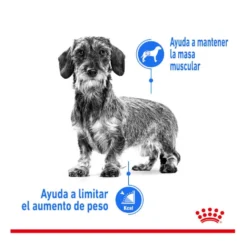 Royal Canin Mini Light Weight Care ração para cães