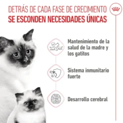 Royal Canin Mother & Baby ração para gatos