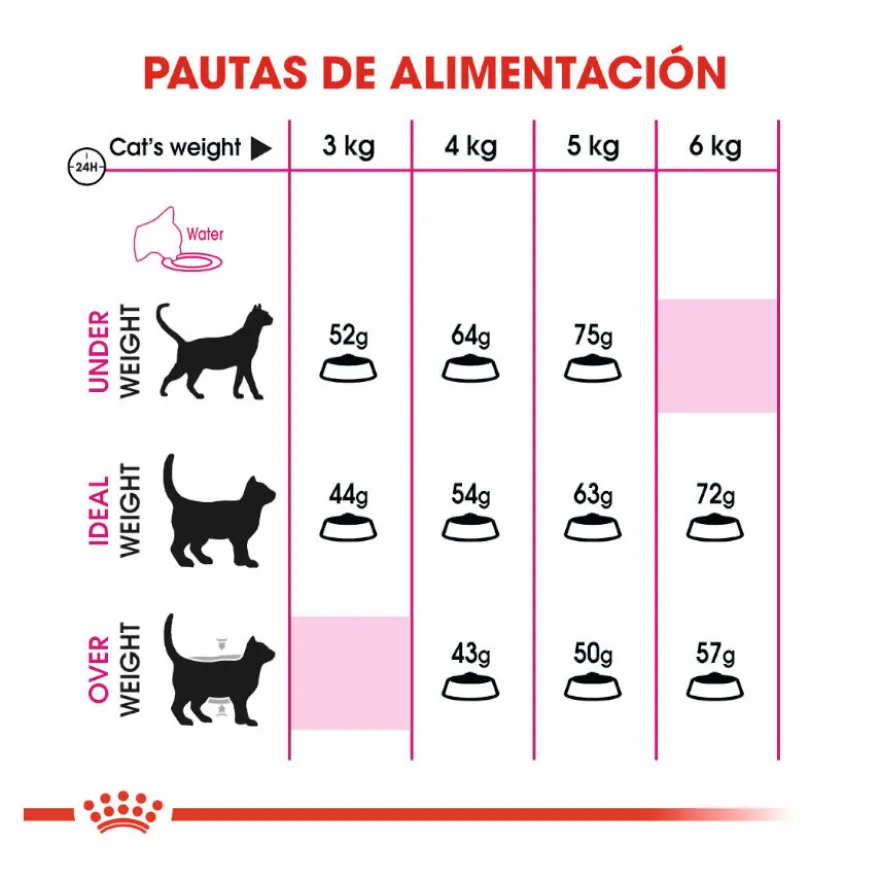 Royal Canin Regular Fit 32 ração para gatos