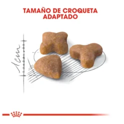 Royal Canin Regular Sensible 33 ração para gatos
