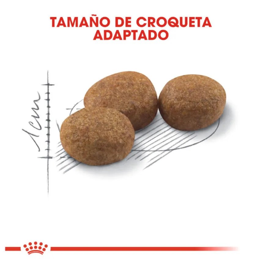 Royal Canin Regular Sterilised 37 ração para gatos