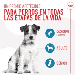 Royal Canin Training snacks para cães