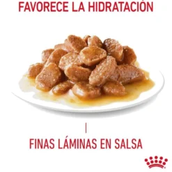 Royal Canin Urinary Care Adult Saqueta em molho para gatos
