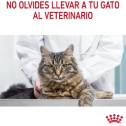 Royal Canin Urinary ração para gatos
