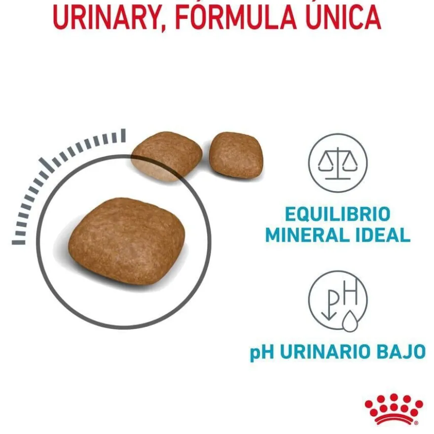 Royal Canin Urinary ração para gatos