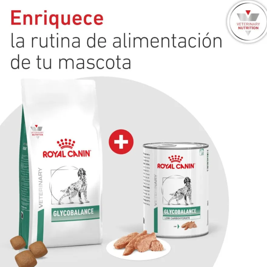 Royal Canin Veterinary Diabetic Ração para cães