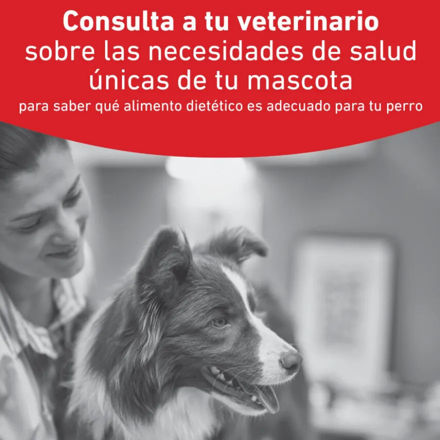 Royal Canin Veterinary Diabetic Ração para cães