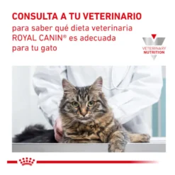 Royal Canin Veterinary Gastrointestinal Moderate Calorie ração para gatos