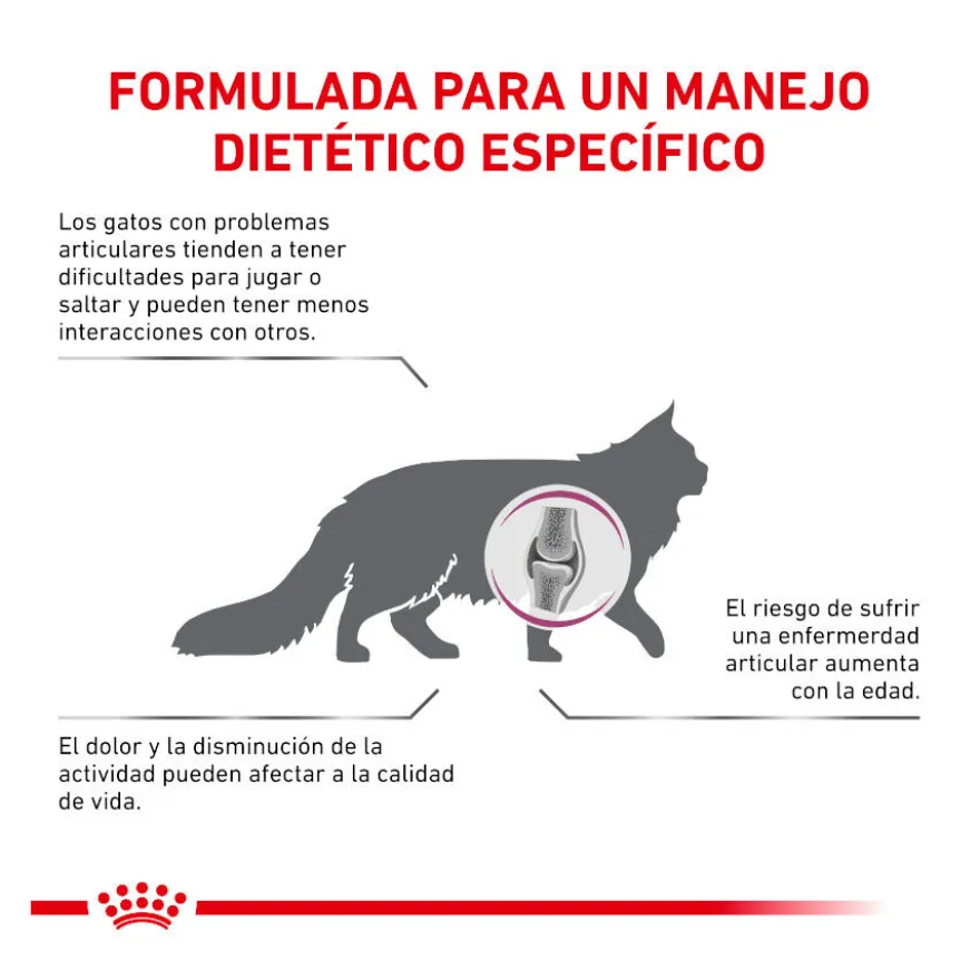 Royal Canin Veterinary Mobility ração para gatos