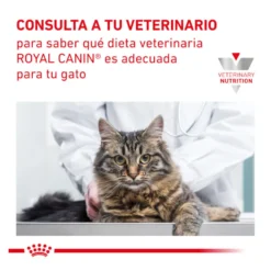 Royal Canin Veterinary Mobility ração para gatos