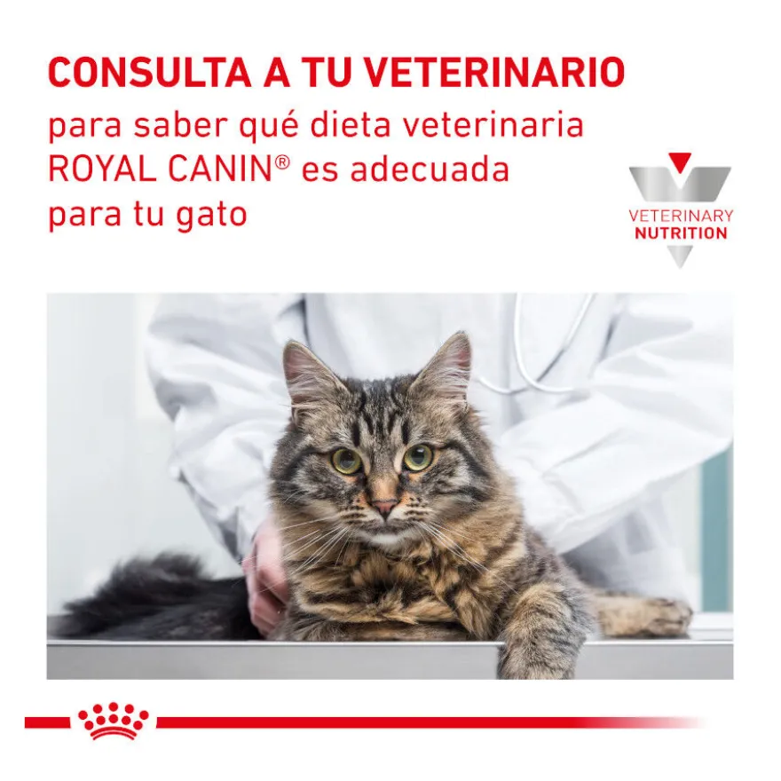 Royal Canin Veterinary Mobility ração para gatos