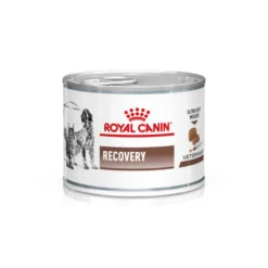 Royal Canin Veterinary Recovery lata para gatos