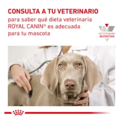 Royal Canin Veterinary Recovery lata para gatos