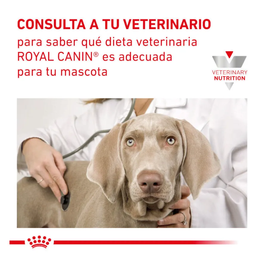 Royal Canin Veterinary Recovery lata para gatos