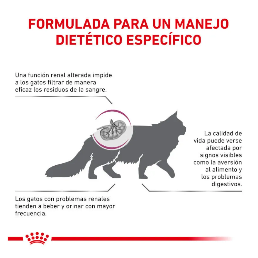 Royal Canin Veterinary Renal ração para gatos