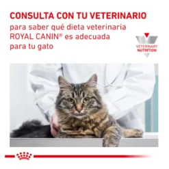 Royal Canin Veterinary Urinary ração para gatos