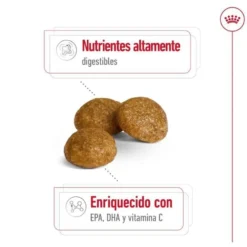 Royal Canin X-Small Adult ração para cães