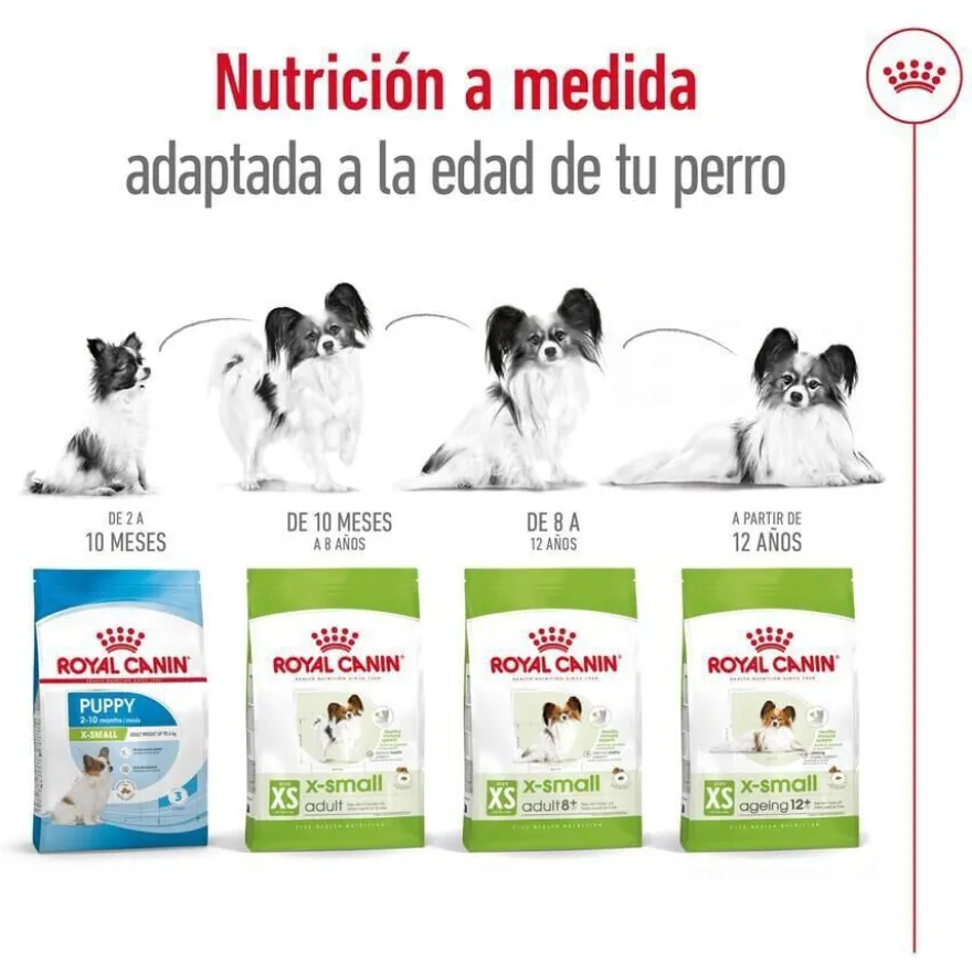 Royal Canin X-Small Adult ração para cães