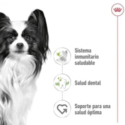 Royal Canin X-Small Adult ração para cães