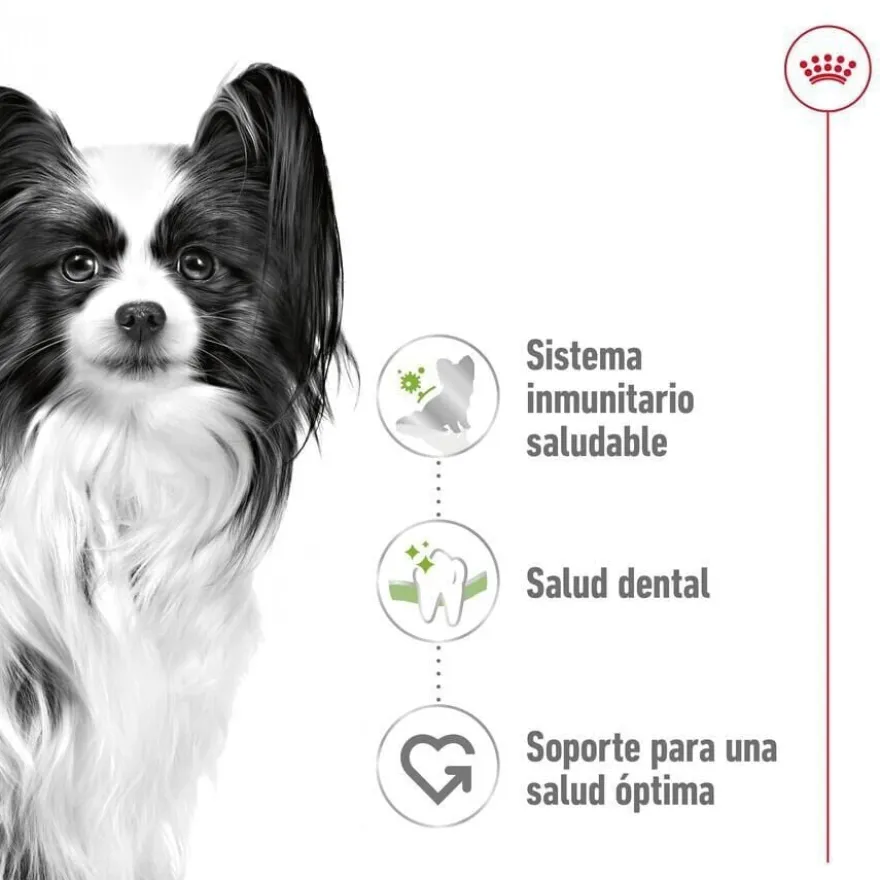 Royal Canin X-Small Adult ração para cães